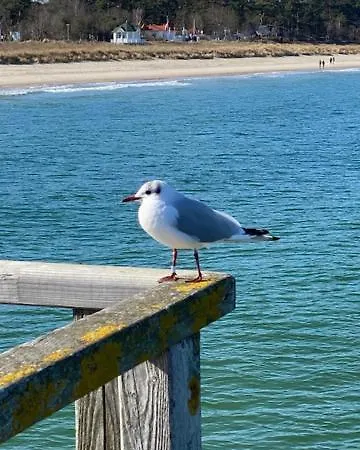 瓦德博丽酒店 酒店