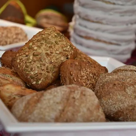 酒店 瓦德博丽酒店 奥斯特巴德·哥伦