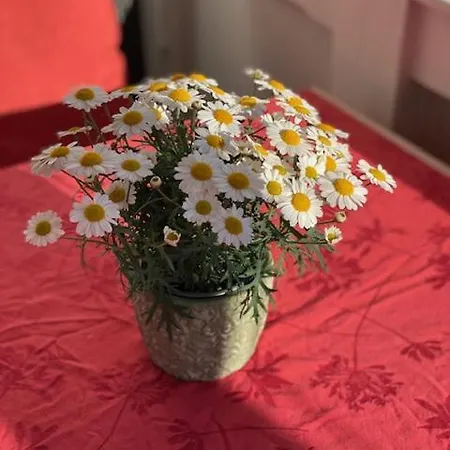 瓦德博丽酒店 酒店 奥斯特巴德·哥伦