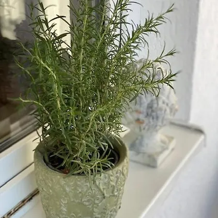 Ξενοδοχείο Waldperle