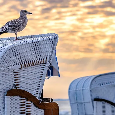 Waldperle 3* Goehren (Ruegen)