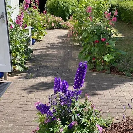 酒店 瓦德博丽酒店 3*