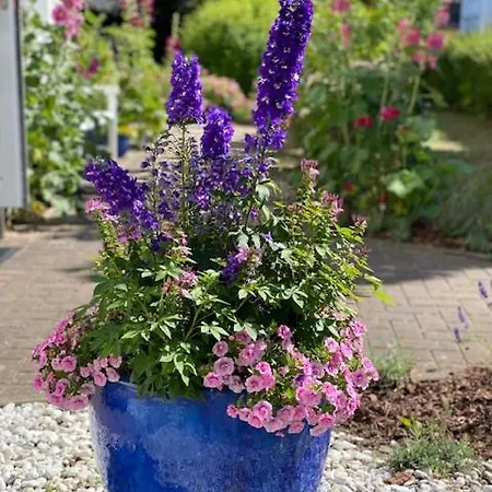 Ξενοδοχείο Waldperle