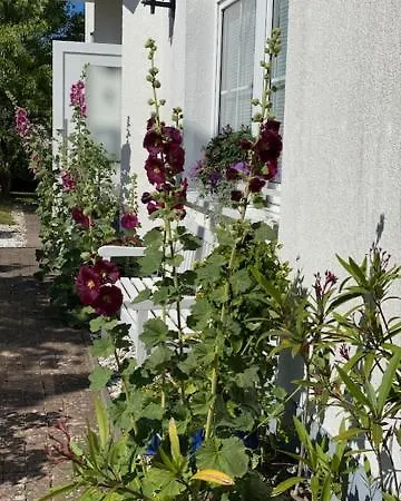 瓦德博丽酒店 3* 奥斯特巴德·哥伦