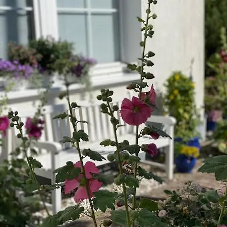 酒店 瓦德博丽酒店