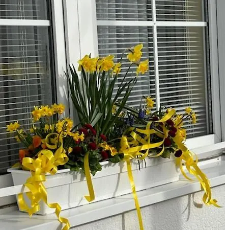 瓦德博丽酒店 酒店 3*