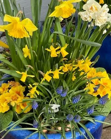 Waldperle 3* Goehren (Ruegen)