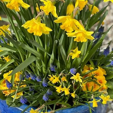 酒店 瓦德博丽酒店