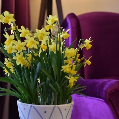 瓦德博丽酒店 酒店 3*