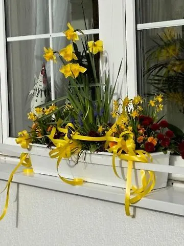 호텔 Waldperle 괴렌